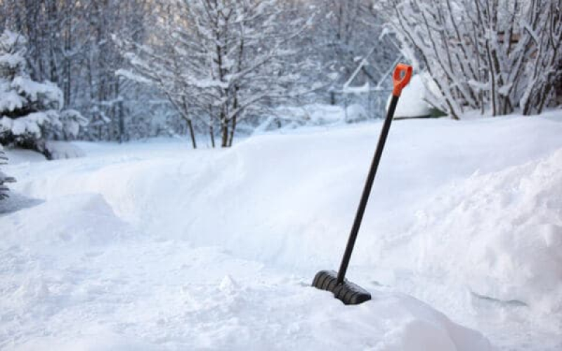 image image - 2025-11-21T150233.664.jpg